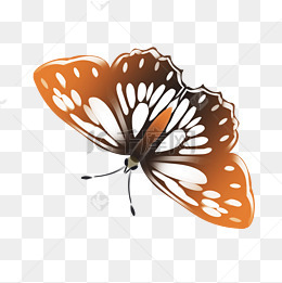 飞舞蝴蝶卡通插画