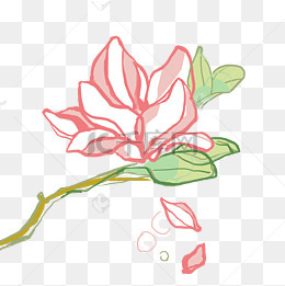 春天粉红色小清新玉兰花免抠png