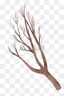 卡通小树木树枝