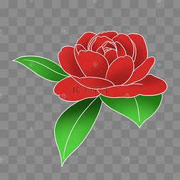 新中式国潮风山茶花