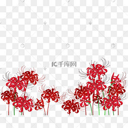 彼岸花丛剪影c4d蓝色立体彼岸花模型彼岸花红色植物秋天彼岸花丛彼岸