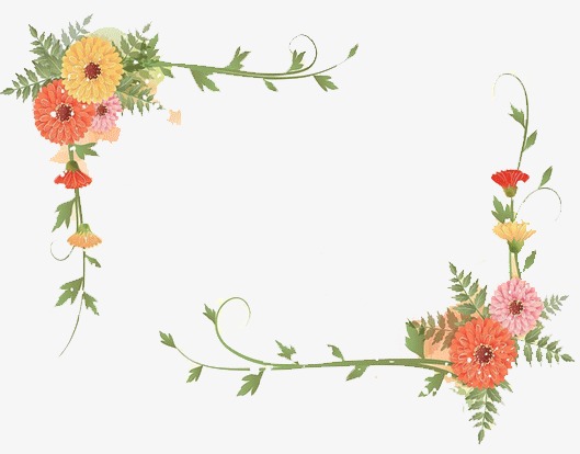 菊花花边黑板报