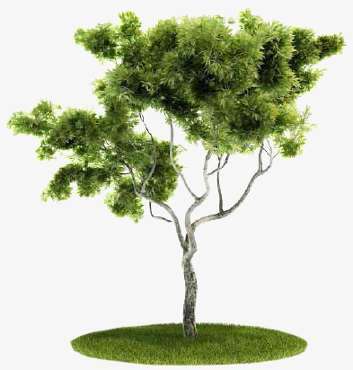 树psd_树png素材-90设计