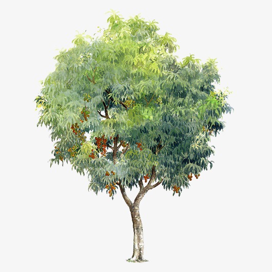 卡通手绘植物树木矢量免扣元素设计