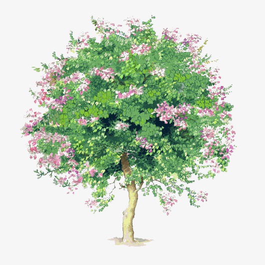 树木背景图片素材透明树木素材 清新小树