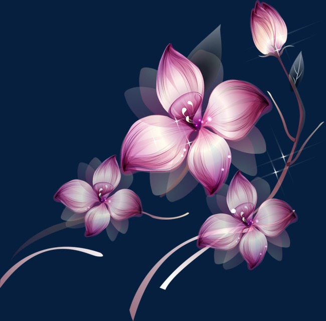 手绘花卉素材创意花卉图片