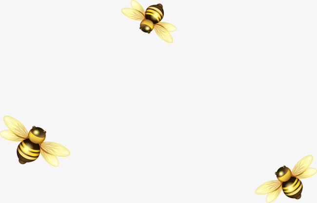 蜜蜂飞舞旋律线图片图片