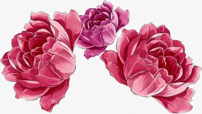 彩绘漂亮的花朵