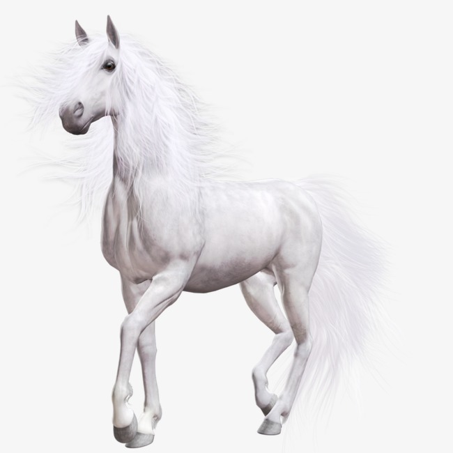 白马png素材-90设计