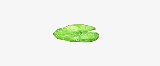 手绘荷叶_荷叶png素材-90设计