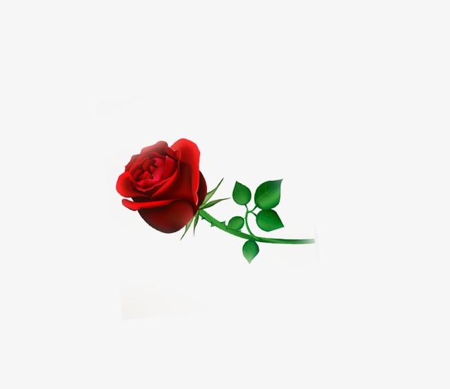 七夕玫瑰花_玫瑰花png素材-90设计