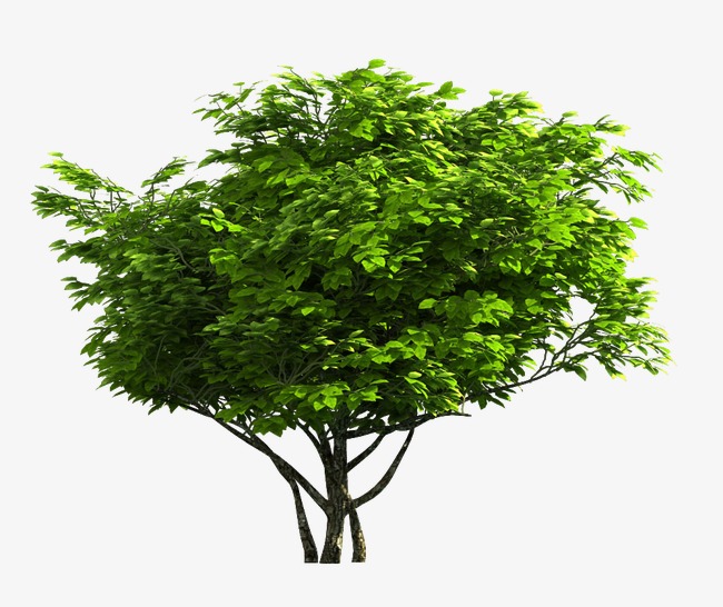 树psd_树png素材-90设计