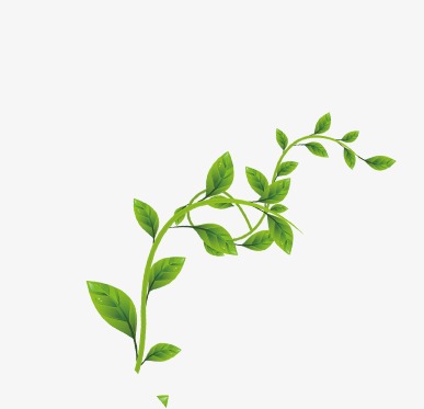 树叶海报_树叶png素材-90设计