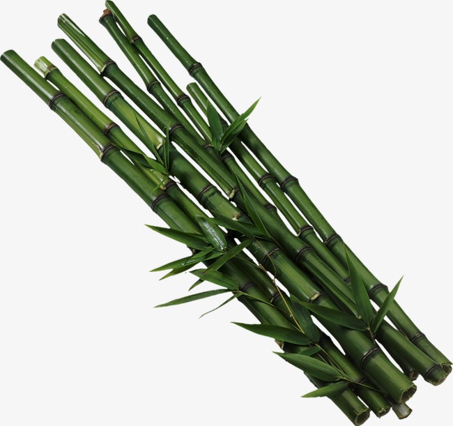 创意花卉图片花草图片素材