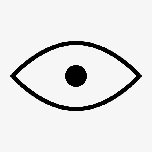 eye图标
