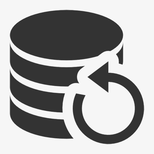 data backup icon