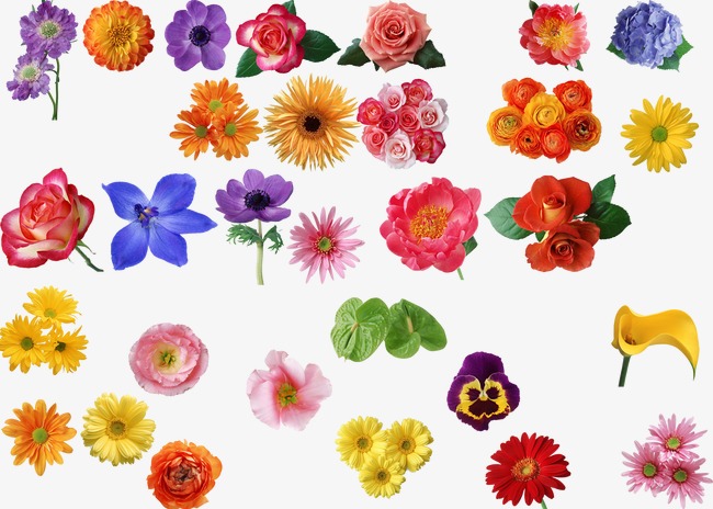 花 素材_花png素材-90设计