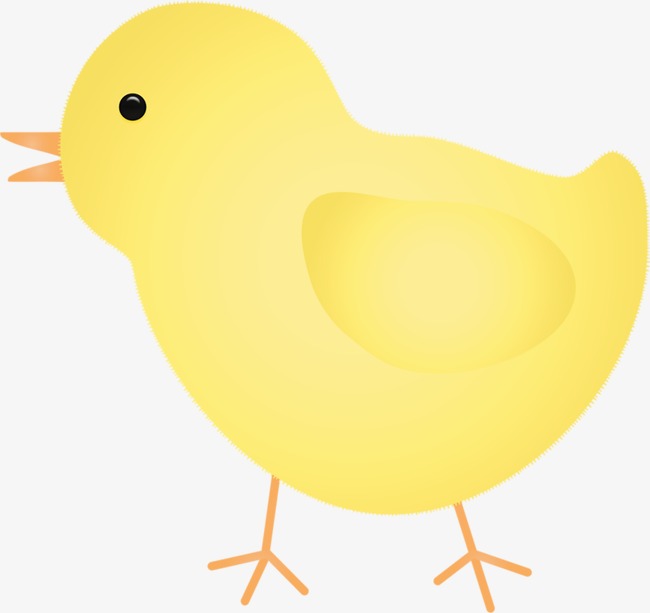 卡通小鸡_小鸡png素材-90设计