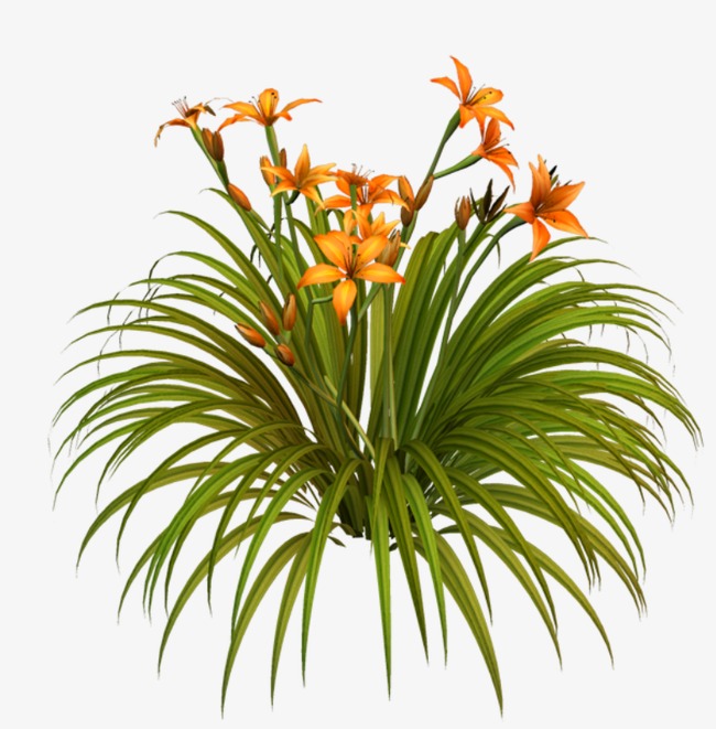 花 素材_花png素材-90设计