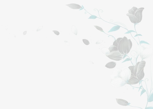 淡色玫瑰花背景图