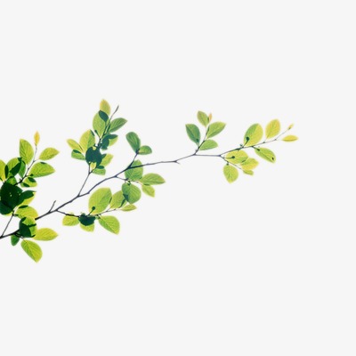 手绘水墨风桃花树枝免扣元素设计