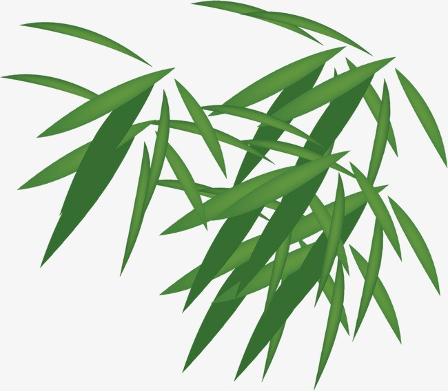 竹叶,绿叶,叶子,淘宝素材