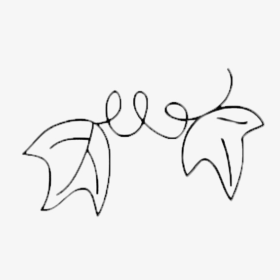 藤蔓 黑色 攀缘茎