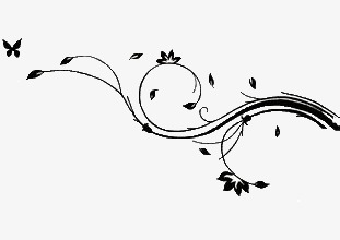 藤蔓 黑色 攀缘茎