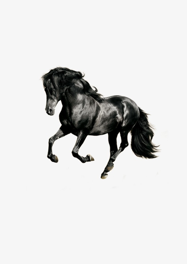 招聘大气简约字体设计just us千里马难寻