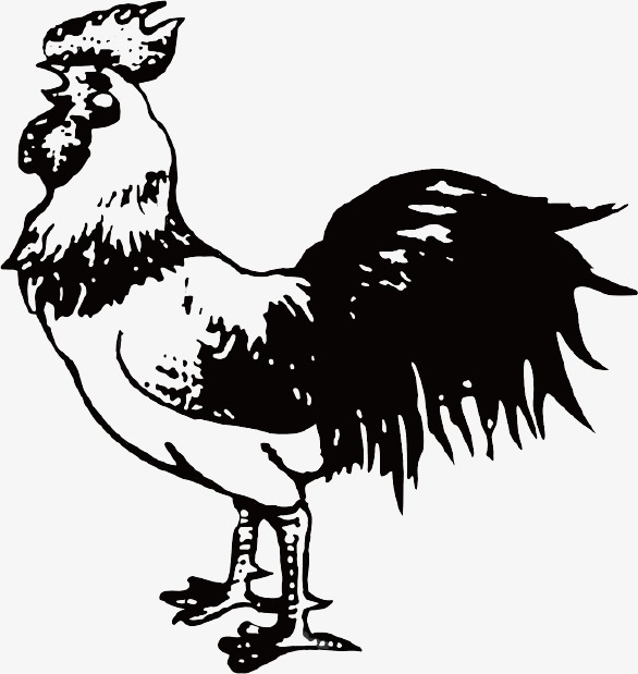 鸡logo_鸡png素材-90设计