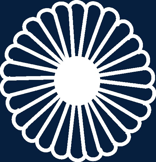 手绘精致可爱圆形花瓣花朵