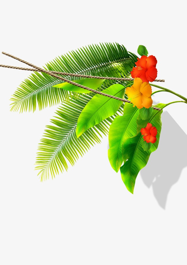 边框边角树叶装饰