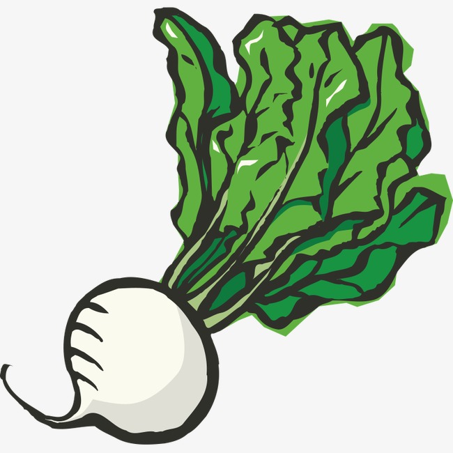 手绘 简笔画 蔬果 蔬菜 果蔬 卡通