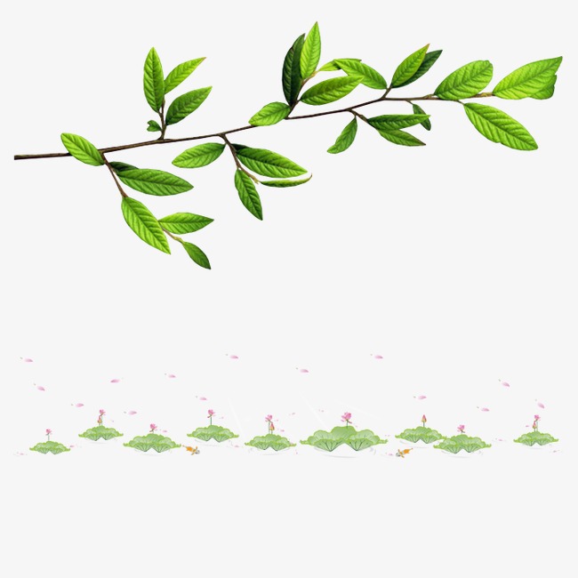 树枝树叶_树枝png素材-90设计