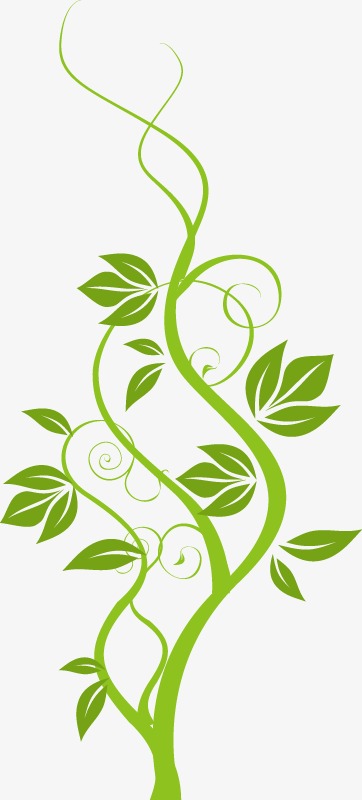 树枝树叶_树枝png素材-90设计