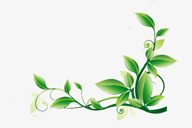 清新简约风格夏日漂浮装饰绿色叶子元素