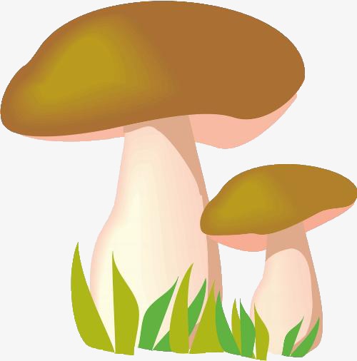 蘑菇 可爱 卡通 彩色