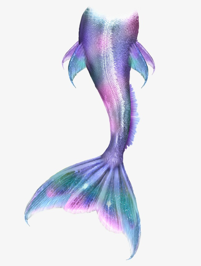 美人鱼尾巴【免抠元素png】-90设计网