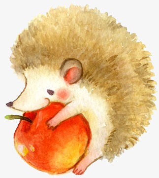 卡通手绘儿童可爱小动物小刺猬大苹果