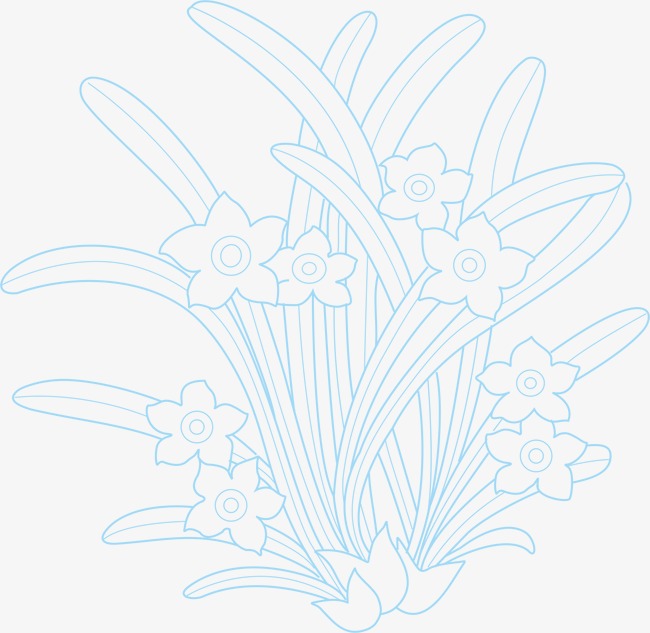 水仙花纹