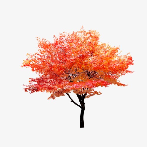 树 卡通_树png素材-90设计