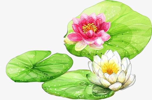 手绘荷叶_荷叶png素材-90设计