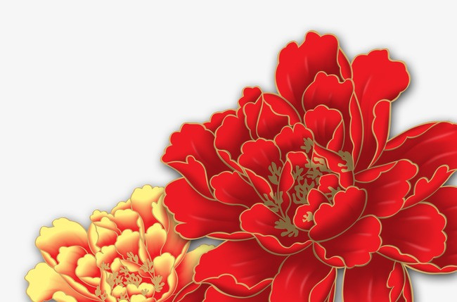 花,花朵,大红花,淘宝素材,花絮