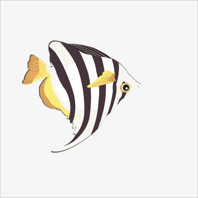 卡通小鱼_小鱼png素材-90设计