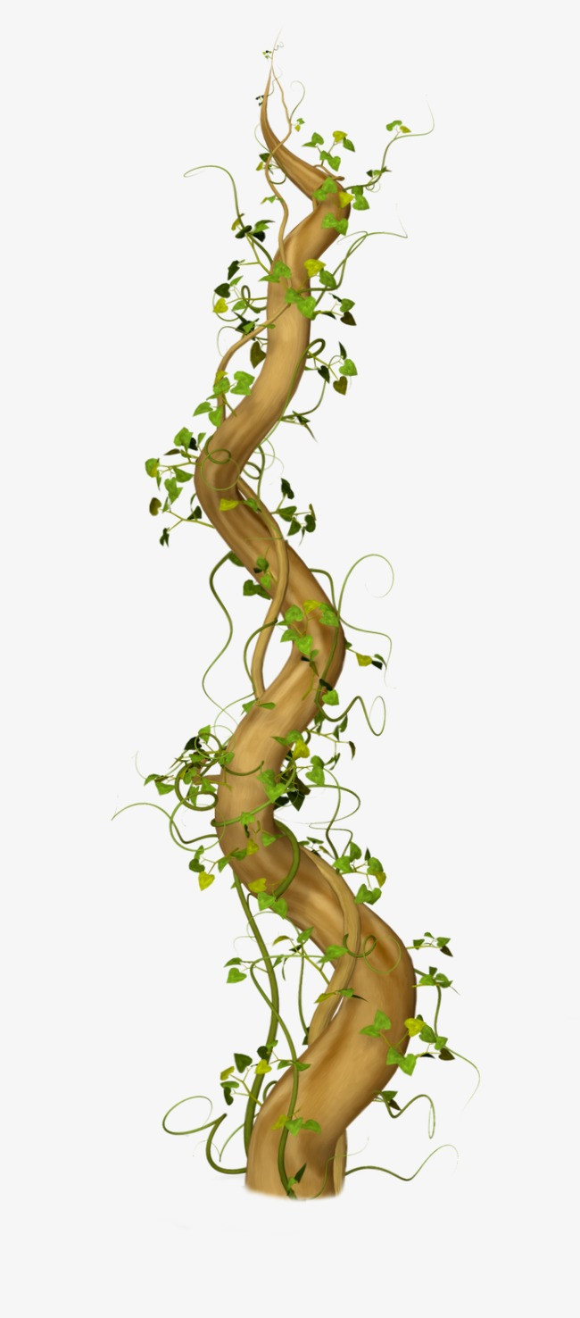 树藤psd_树藤png素材-90设计