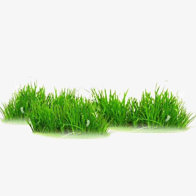 草地海报_草地png素材-90设计