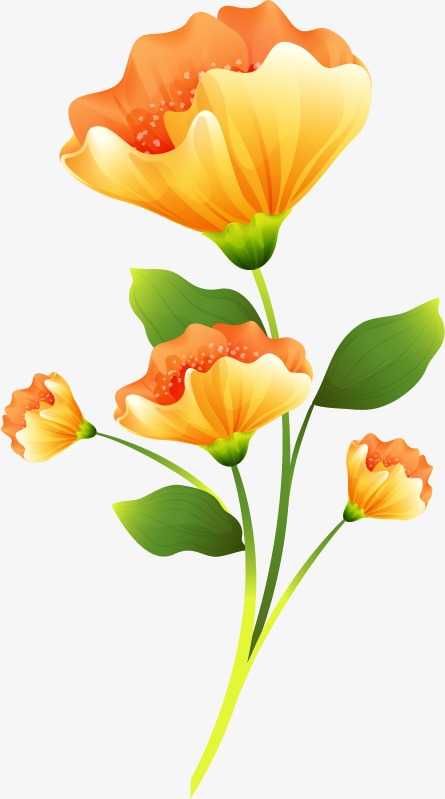 黄色花朵植物装饰春季春天花元素【免抠元素png】-90设计网