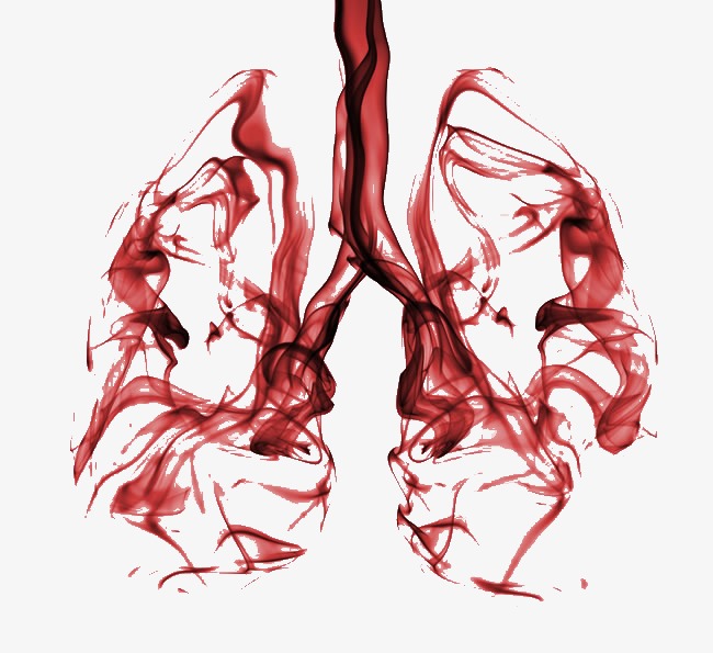 肺