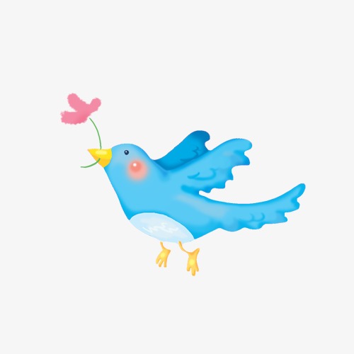 插画小鸟_小鸟png素材-90设计