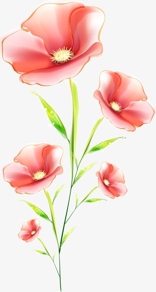 手绘立体花朵图案